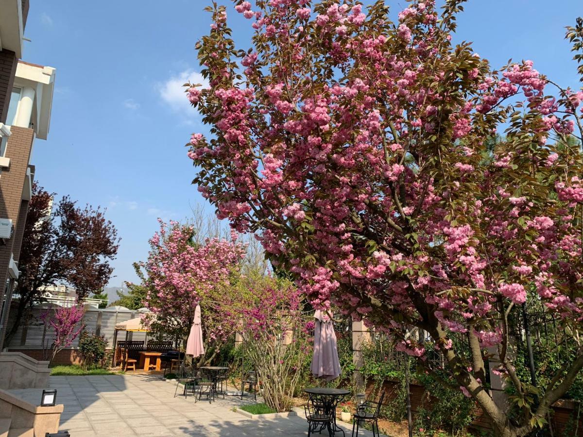 Floral Hotel - Begonia Villa Qingdao Extérieur photo