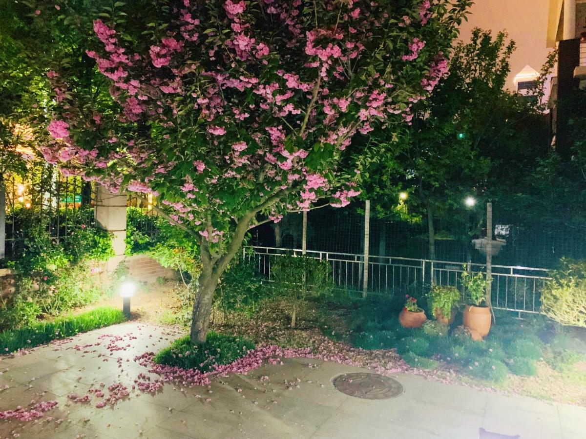 Floral Hotel - Begonia Villa Qingdao Extérieur photo